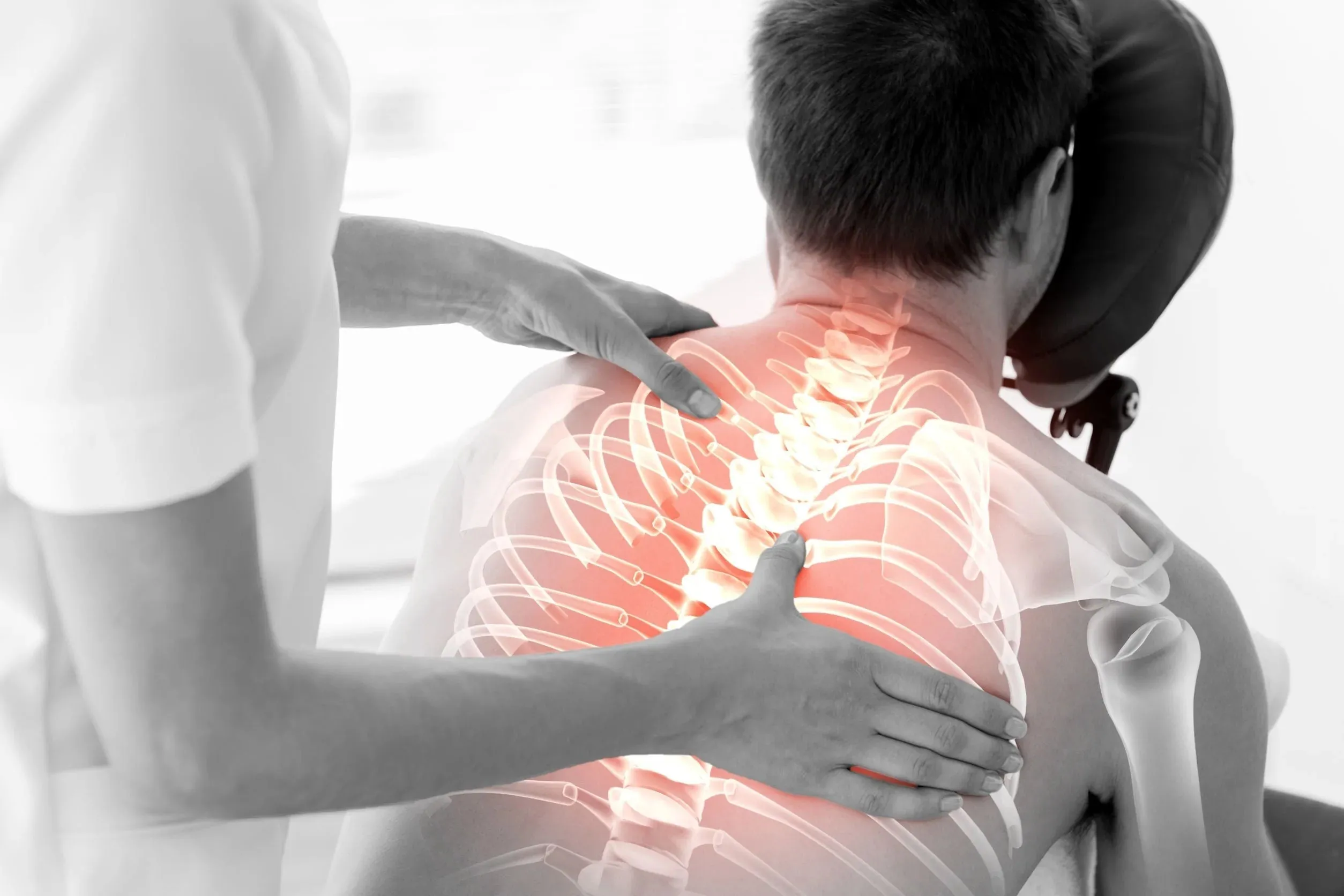 24 CE FL LMT Renewal Home Study Package Onsite Event, Sports & Chair Massage Practices & Routines with Medical Massage Training Elective