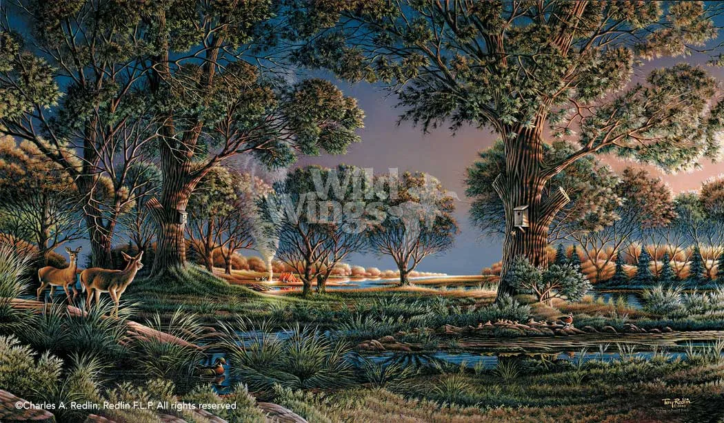 Camping on Sunset Point - Elite Print