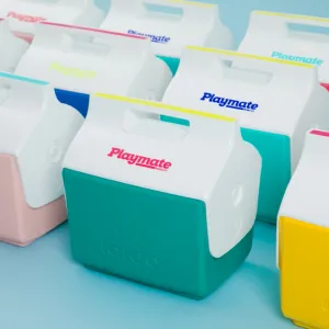 Little Playmate 50th Anniversary Edition 7 Qt Cooler